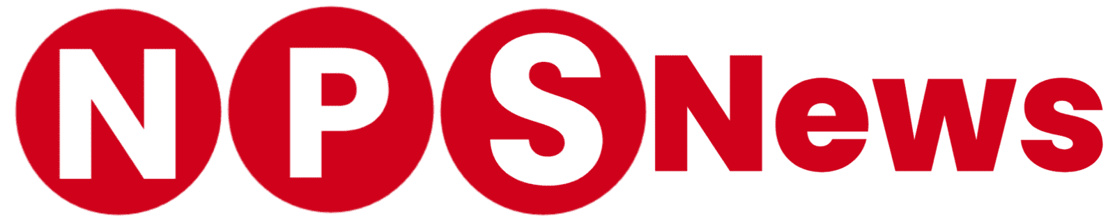 nationalpublicschool.org
